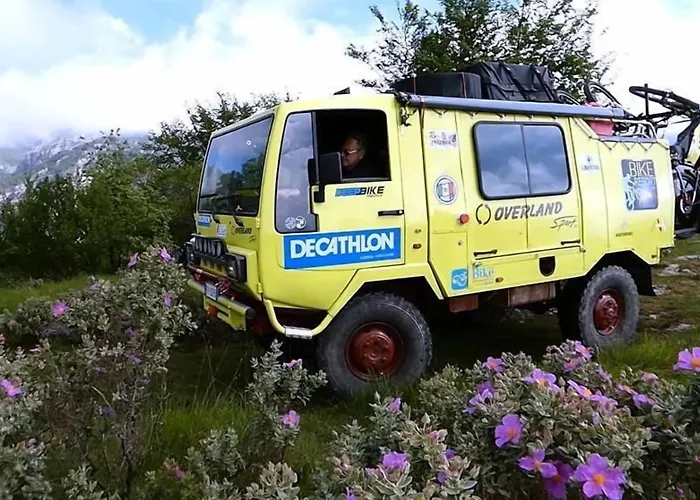 Overland تويرانو